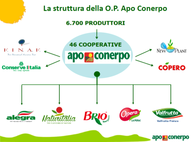 Immagine1 Immagine1