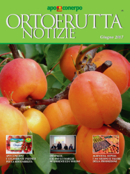 ON-Giugno2017-med ON-Giugno2017-med