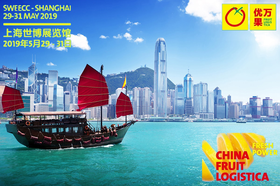 ChinaFL2019New ChinaFL2019New