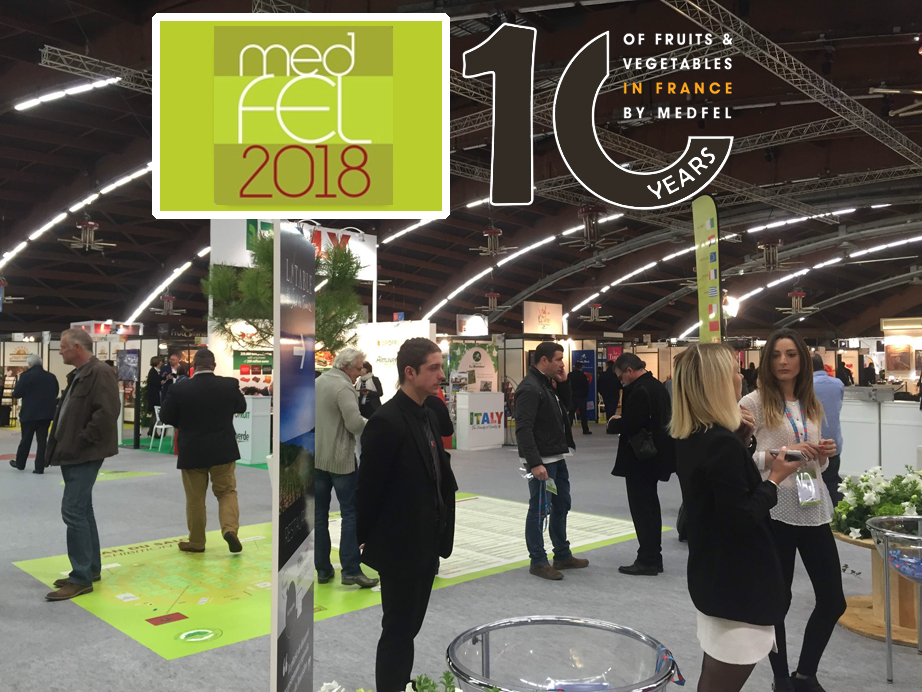 Medfel2018 Medfel2018