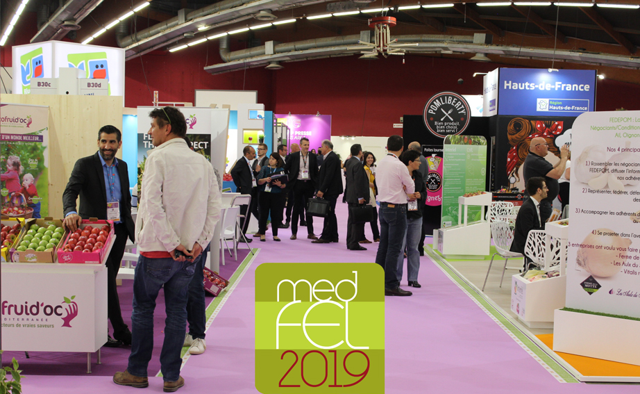 Medfel2019 Medfel2019
