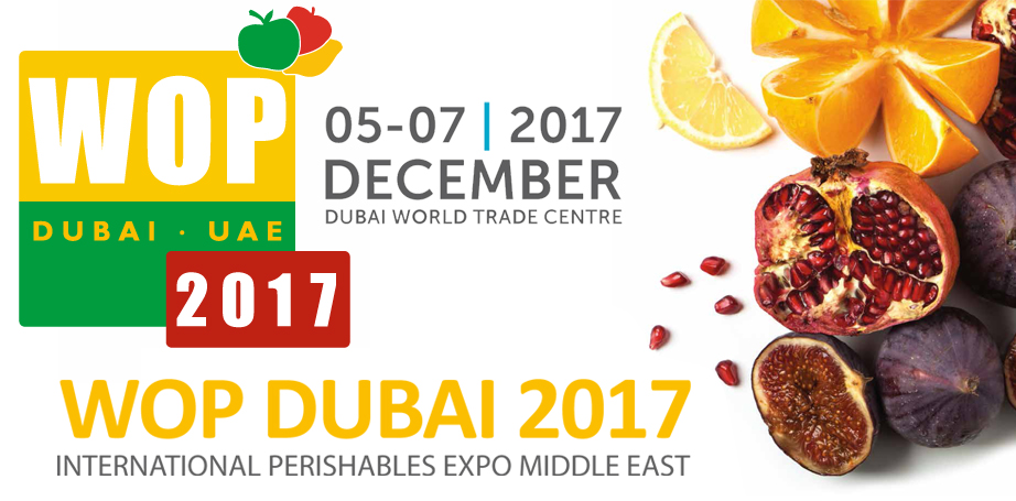 WopDubai2017 WopDubai2017