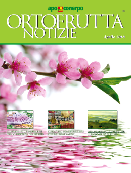 ON-Aprile-2018_Midi ON-Aprile-2018_Midi