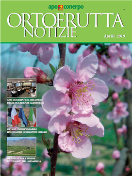 ON-Aprile-2019-Midi ON-Aprile-2019-Midi