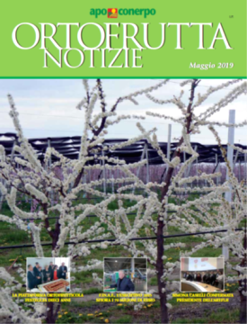 ON-Maggio2019-Med ON-Maggio2019-Med