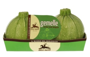 Gemelle1