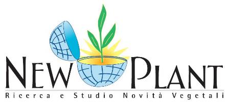 newplant1-jpg newplant1-jpg