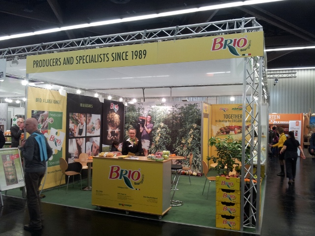 brio-a brio-a