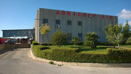 agricoopsede