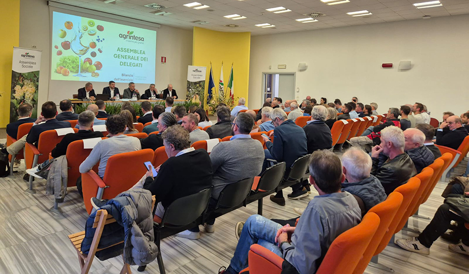 Agrintesa Assemblea Agrintesa Assemblea