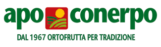 Apo Conerpo