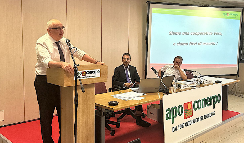 Assemblea Apo