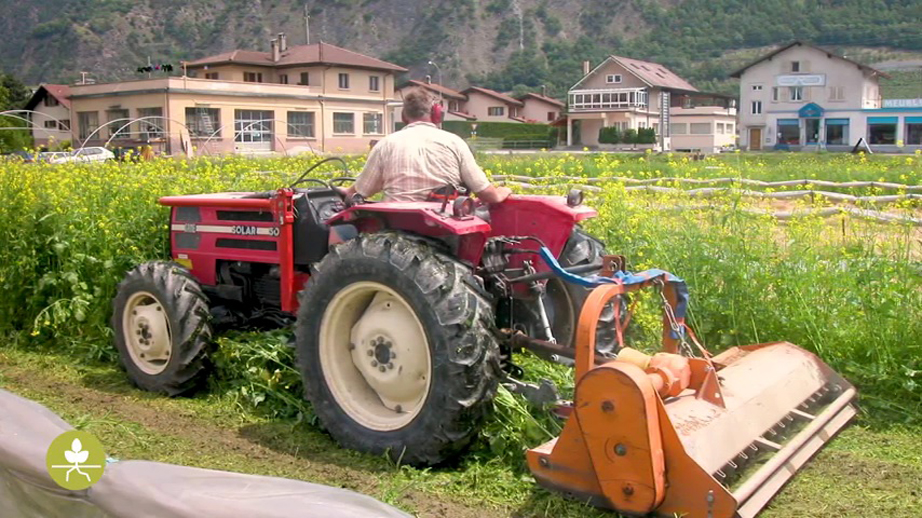 biofumigazioni