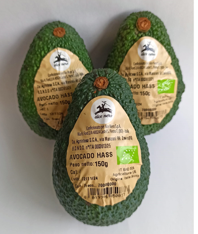 Brio Avocado Italiano Elle Brio Avocado Italiano Elle