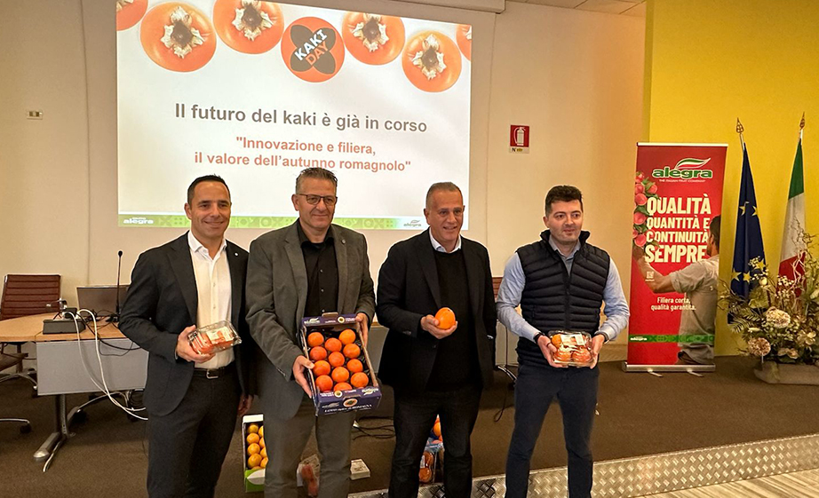 Bucchi, Castellari, Moretti e Cavassi Bucchi, Castellari, Moretti e Cavassi