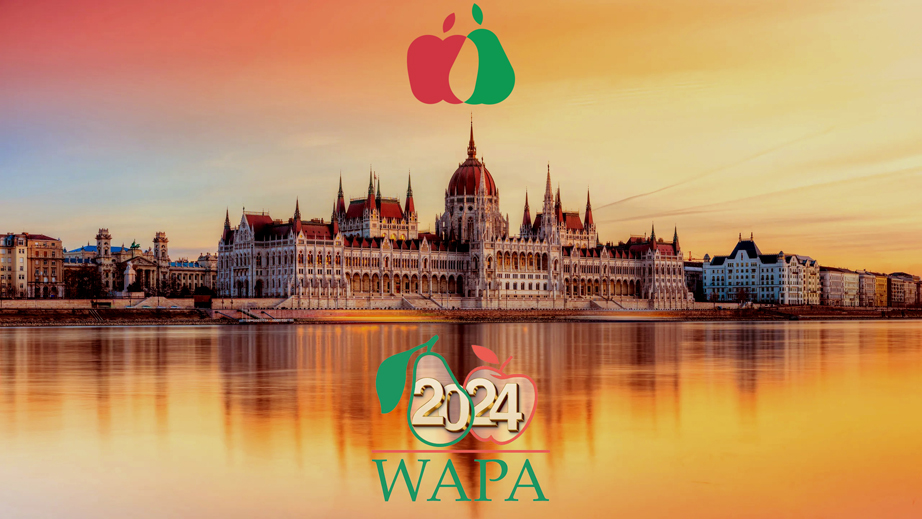 BudapestJPEG BudapestJPEG