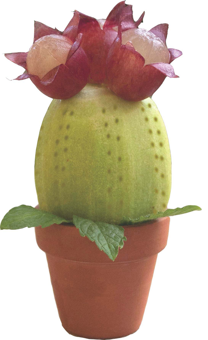 CactusKiwiUvaL CactusKiwiUvaL