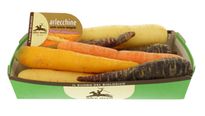 carote arlecchineL