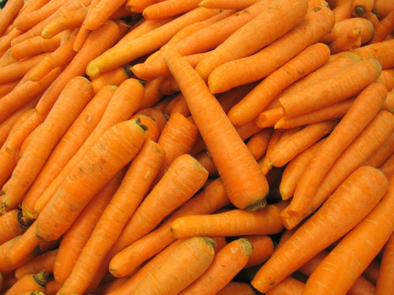 carrotsY1_xenia