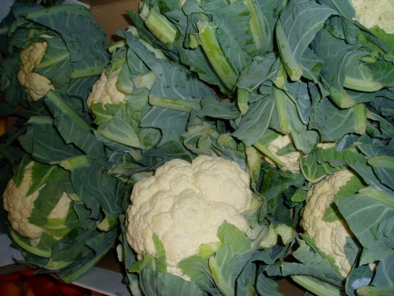 Cavolfiore Cavolfiore