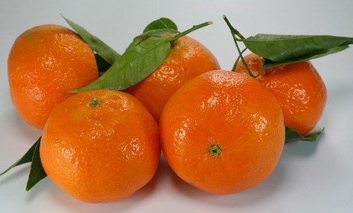 Clementine Clementine