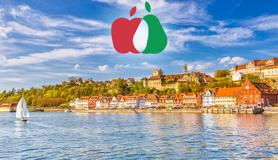 costance new costance new