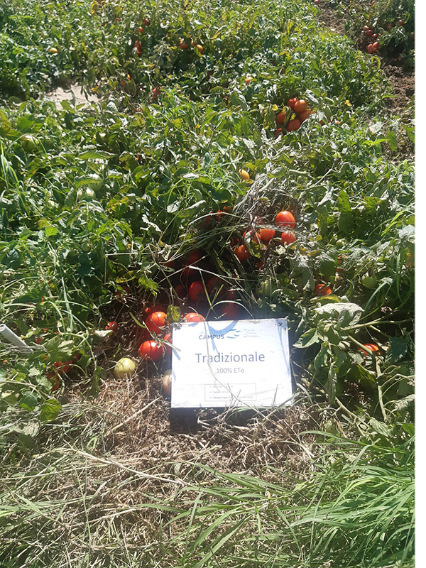 Finaf CER 2 Finaf CER 2