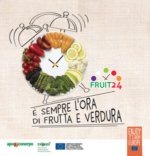 Fruit24FolderL