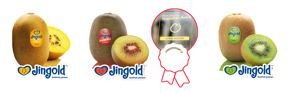 JingoldNew JingoldNew