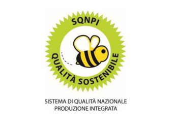 logo-sqnpi elle