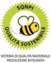 logo_SQNPI