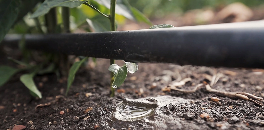 MicroirrigazioneL MicroirrigazioneL