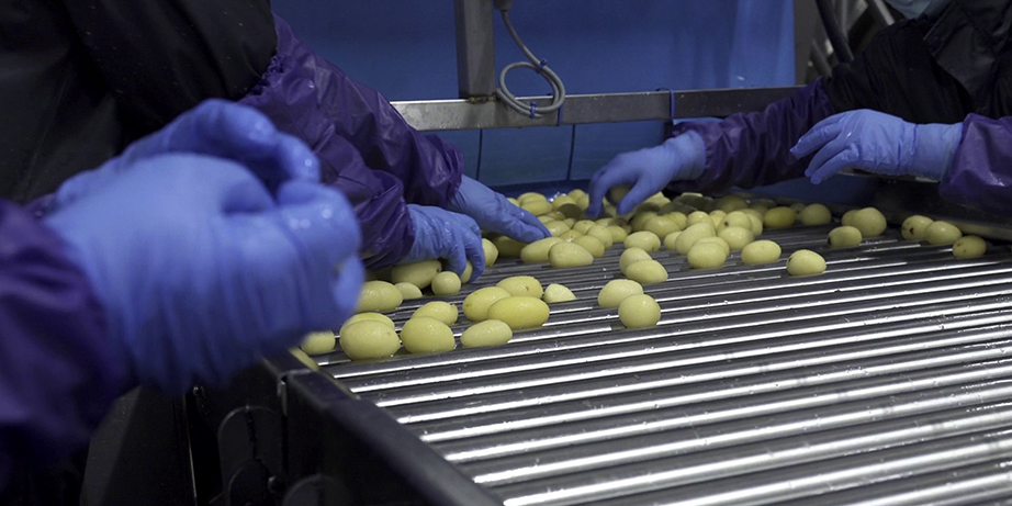 Naturitalia Patate Patfrut 2 Naturitalia Patate Patfrut 2