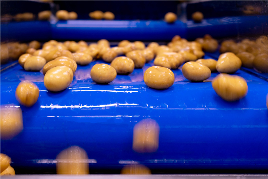 Naturitalia Patate Patfrut