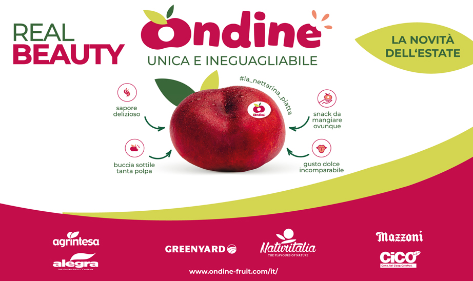 Ondine Campagna