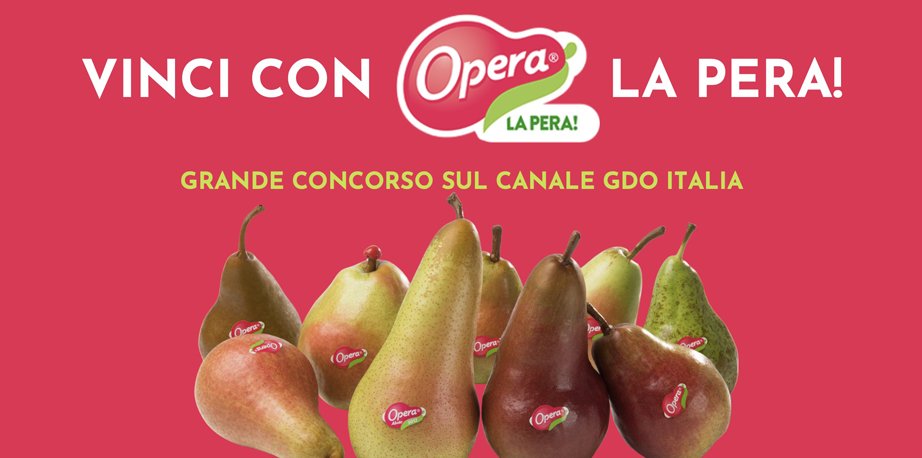 Opera Concorsi Elle