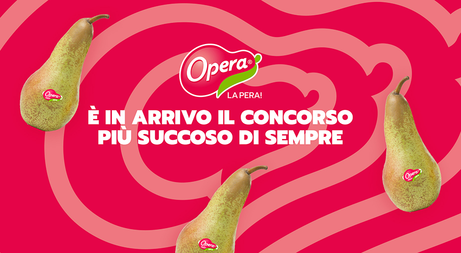 Opera Concorso
