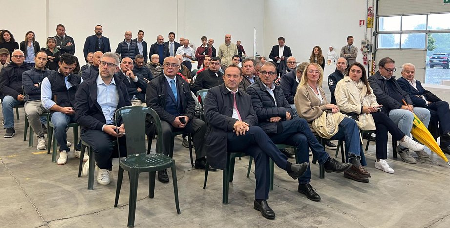 Patfrut Platea Patfrut Platea