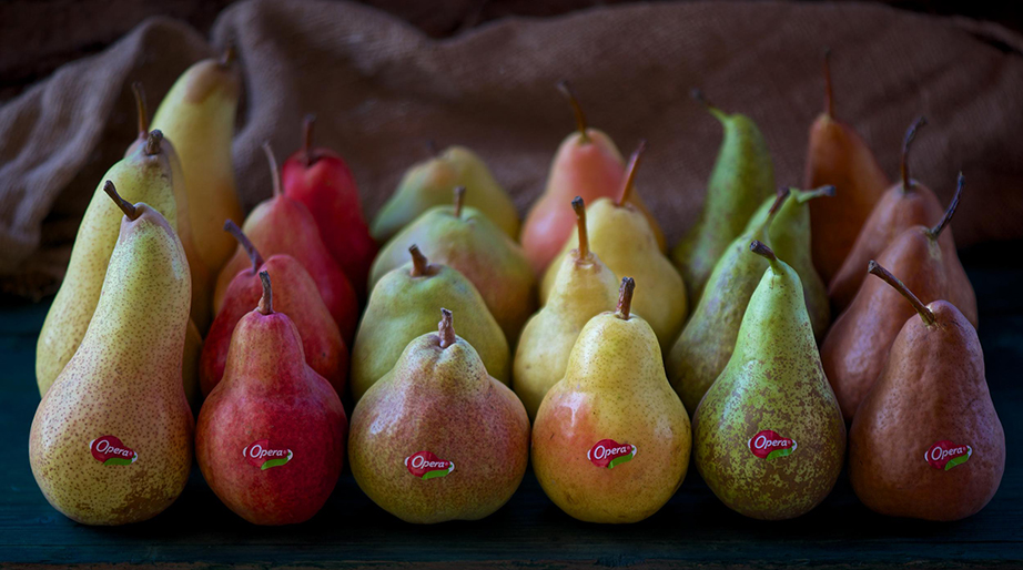 Pere Opera Elle