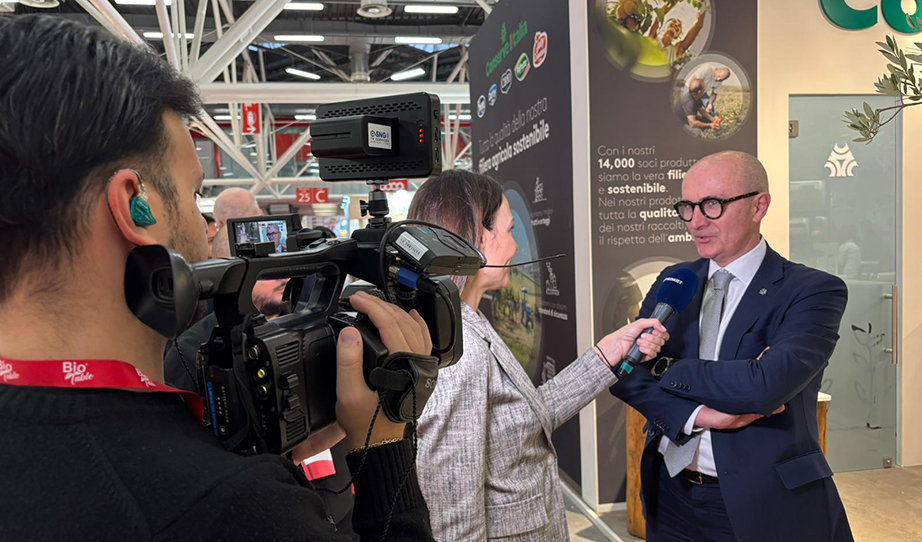 Pier Paolo Rosetti Mediaset