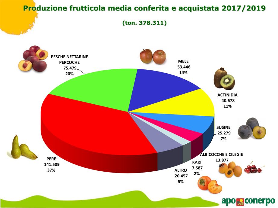 ProduzioneFrutticolaMedia ProduzioneFrutticolaMedia