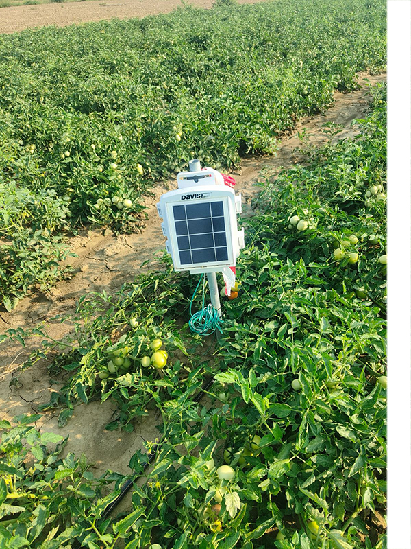 Progetto FINAF CER Centralina Progetto FINAF CER Centralina