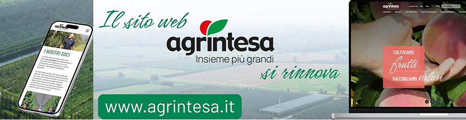 sito web agrintesa