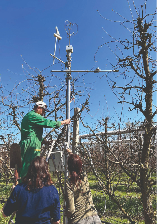 Torre Covariance Conselice