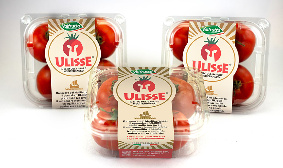 Ulisse New