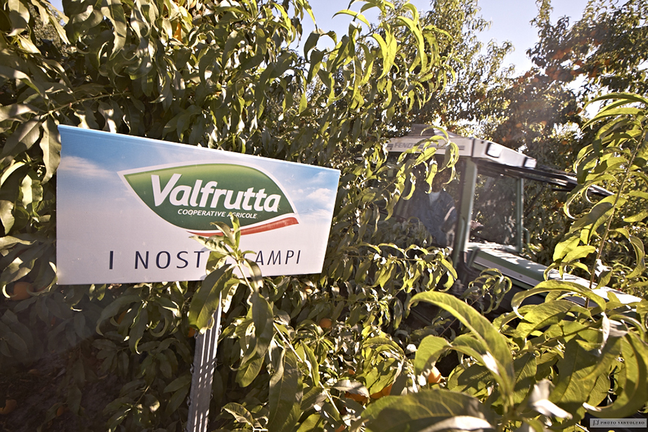Valfrutta campi Valfrutta campi