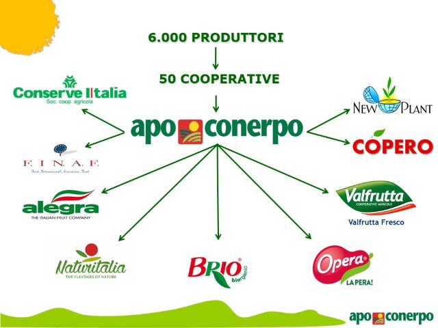 slides gruppo