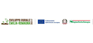 logo riduci