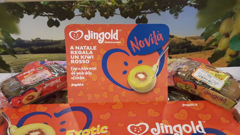 FOTO KIWI ROSSO FOTO KIWI ROSSO