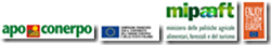 Immagine1 Immagine1